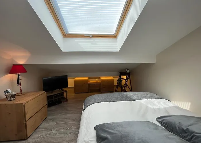 La Verte 24- Aux Pieds Des Pistes! Chamonix