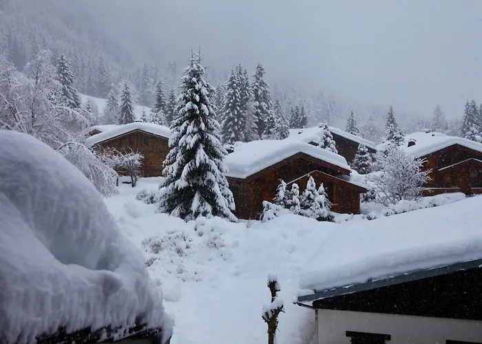 Apartment La Verte 24- Aux Pieds Des Pistes! *